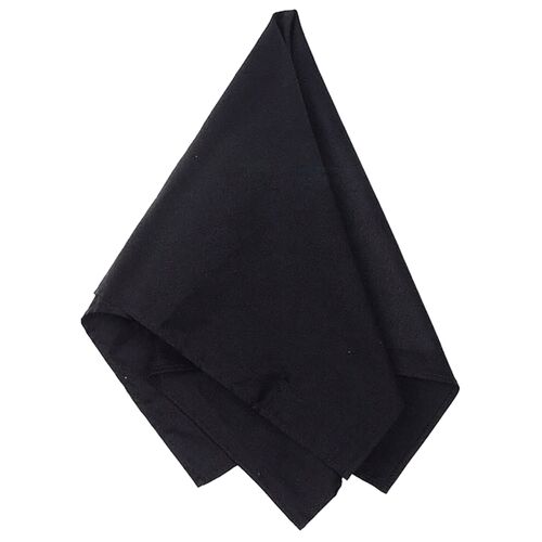 Bandana Thumbnail