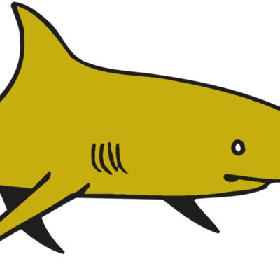 AR  SHARK 30 RC Thumbnail