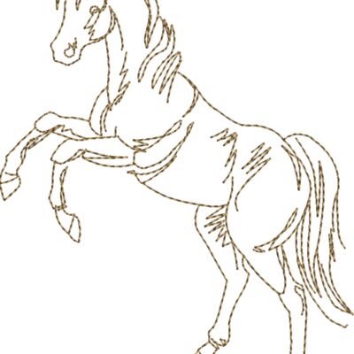WS605 48 Thumbnail
