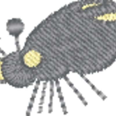ci494 Thumbnail