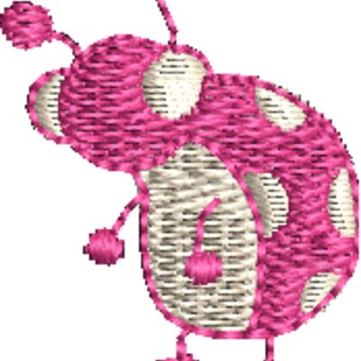 CI491 Thumbnail