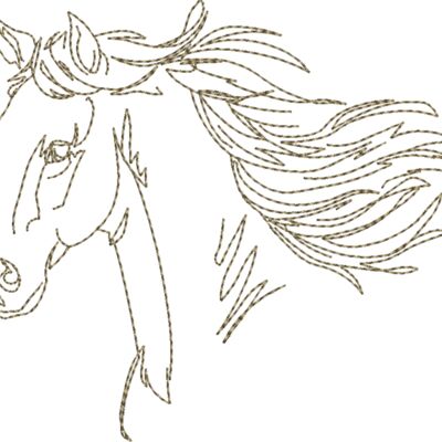 WS610 48 Thumbnail