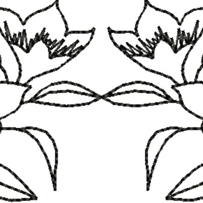 Nx969 Thumbnail