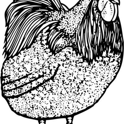 CHICK014 Thumbnail