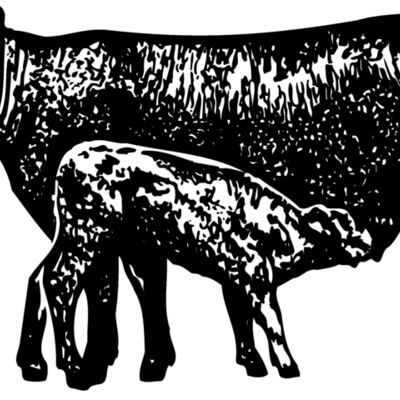 COW029 Thumbnail