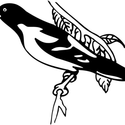 BIRD038 Thumbnail