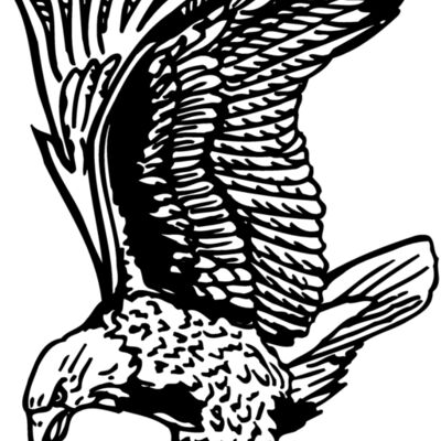 EAGLE020 Thumbnail