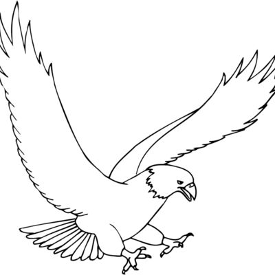 EAGLE43 Thumbnail