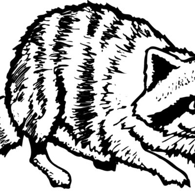 COON001 Thumbnail