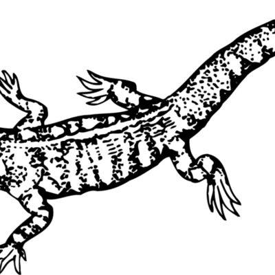 LIZARD02 Thumbnail