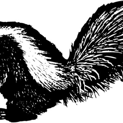 SKUNK002 Thumbnail