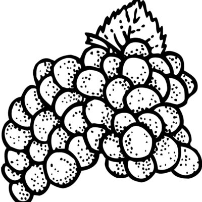 FRUIT016 Thumbnail