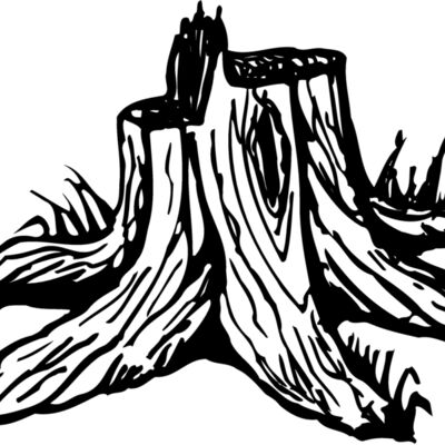 TIMBER09 Thumbnail